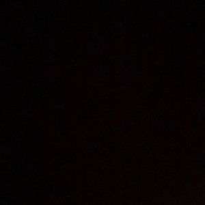 Meet your Posher, Eryn